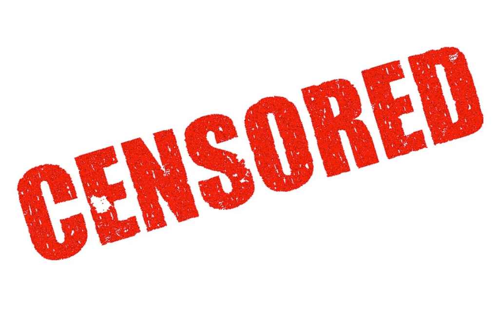 A Draconian New Law Went Into Effect On August 25th That Institutes Extreme Censorship Of The Internet On A Global&nbsp;Basis