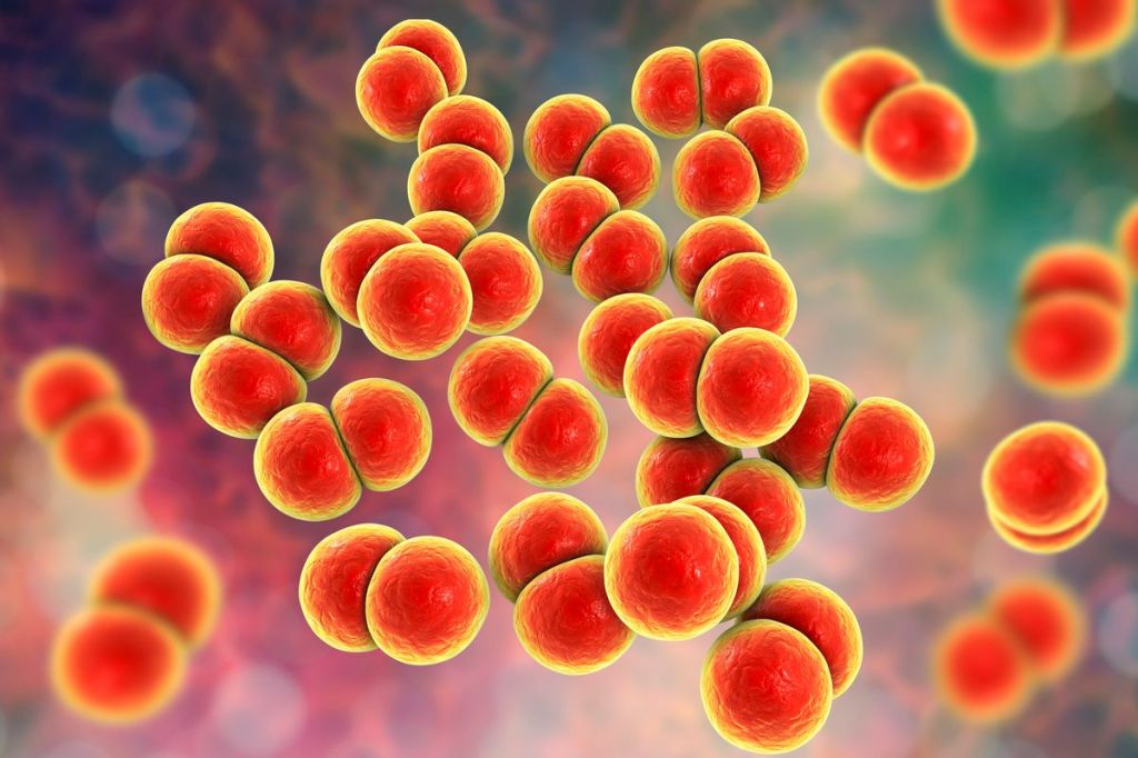 Super gonorrhoea cases are rising and could be fatal, WHO&nbsp;warns