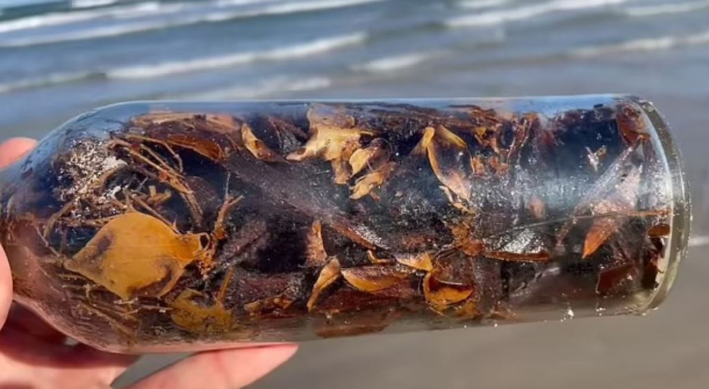 Mysterious ‘witch bottles’ appear along the Gulf of Mexico – and researchers are avoiding opening&nbsp;them