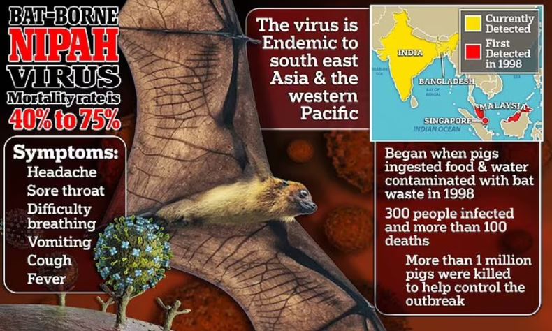 Next pandemic deemed the ‘Big One’ could be the most contagious and deadliest disease known to humanity, scientists&nbsp;warn