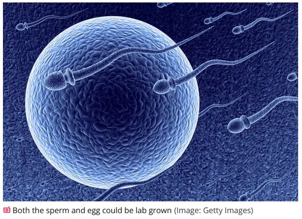 END OF DAYS TECHNOLOGY: People could soon be able to have a child entirely on their own using lab-grown sperm and&nbsp;eggs.