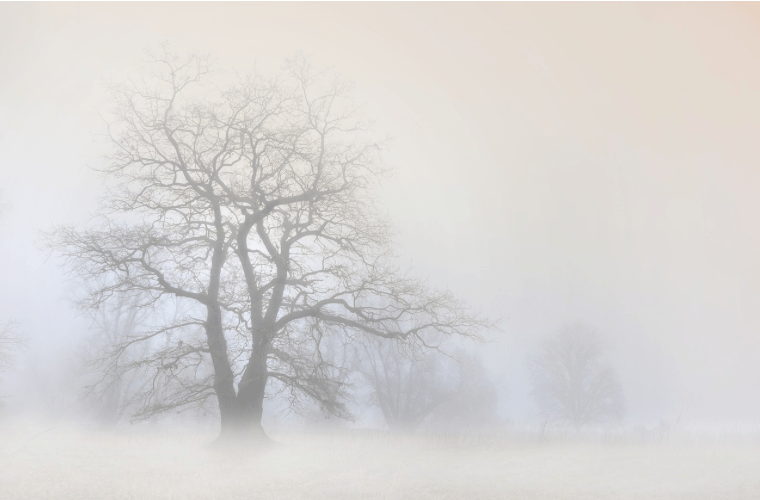 Now The Mainstream Media Is Talking About The “Mystery Fog” Phenomenon That Is Causing Panic All Over&nbsp;America