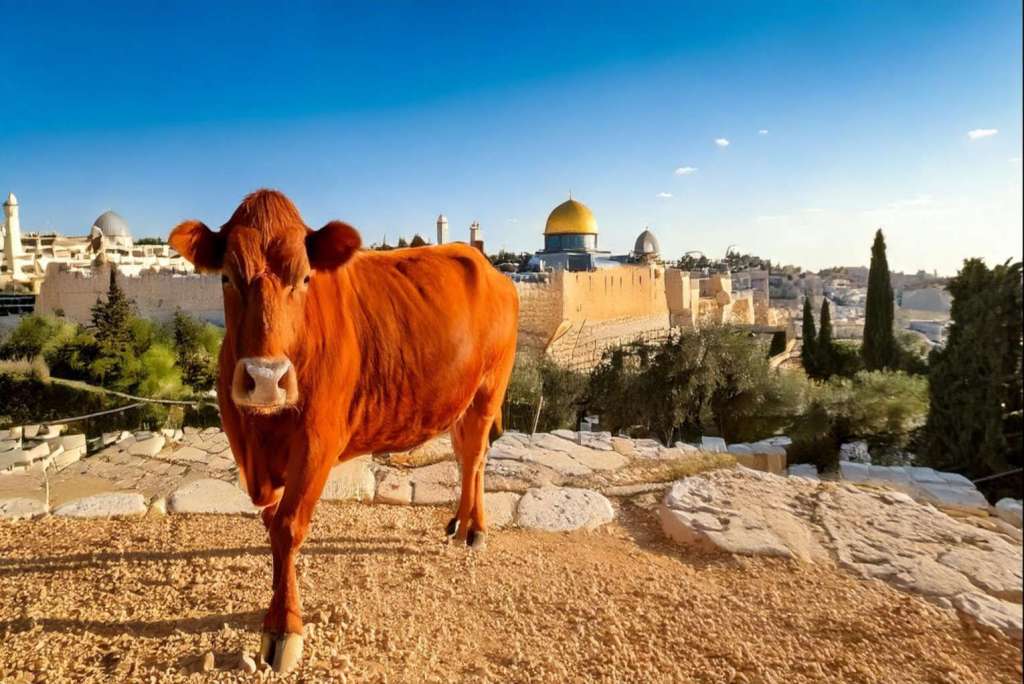 Are You Missing this 2,000-Year-Old&nbsp;Mystery?