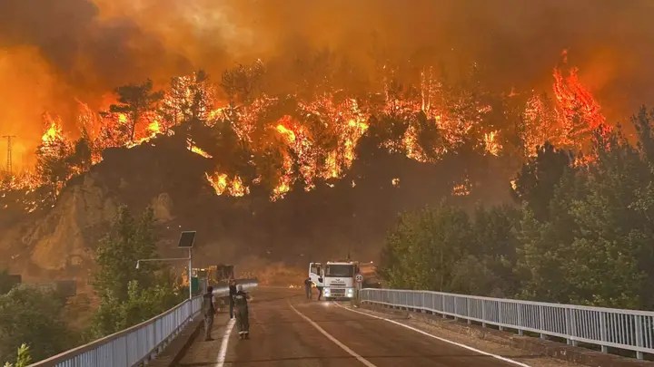 Turkey wildfires tear through major city, Record-breaking 122.9°F temperatures fuel 84 separate blazes across the country as death toll&nbsp;rises.