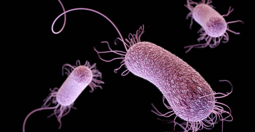 Deadly ‘superbug’ is spreading across US as drug resistance grows, researchers&nbsp;warn