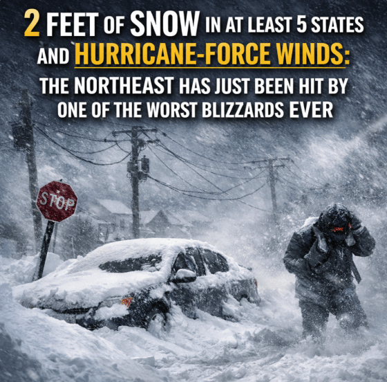 2 Feet Of Now In At Least 5 States And Hurricane-Force Winds: The Northeast Has Just Been Hit By One Of The Worst Blizzards&nbsp;Ever