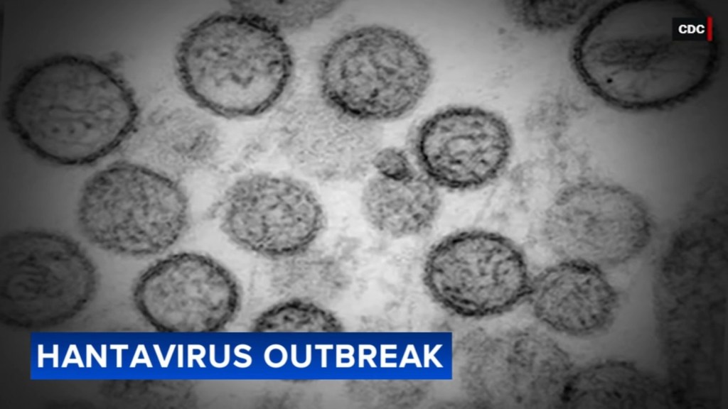 WHO chief warns there ‘will be more hantavirus cases in the coming&nbsp;weeks’