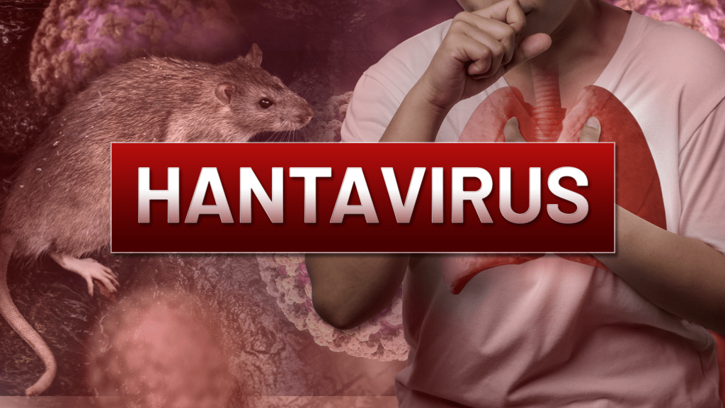 Suspected hantavirus cases have been reported in 13 countries across four&nbsp;continents